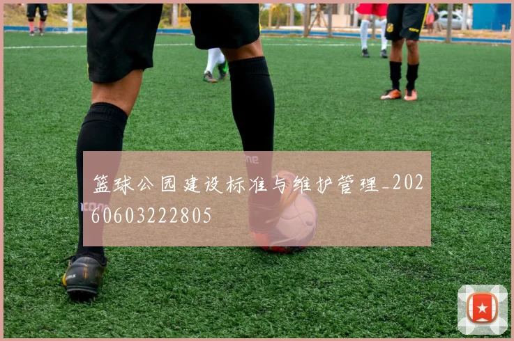 篮球公园建设标准与维护管理_20260603222805