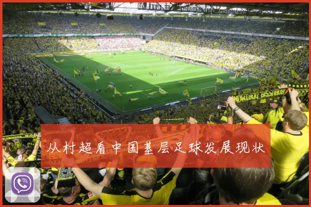 从村超看中国基层足球发展现状